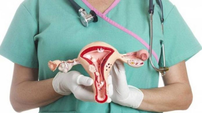 Cancer du col de l'utérus : La vaccination inscrite à partir de 2025, dans le calendrier national