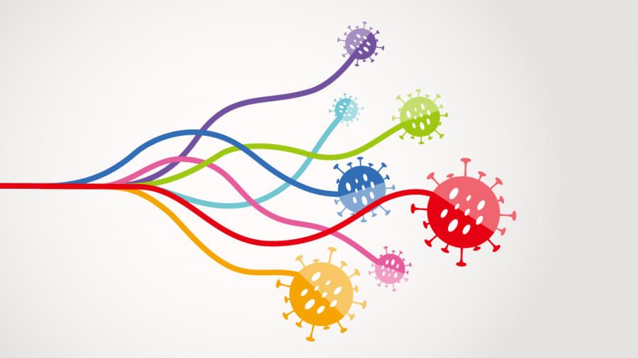 Contribution de l'Institut Pasteur à l'effort national de surveillance moléculaire des "Variants" du SARS-CoV-2