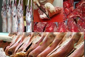 Ramadan : viandes ovines et bovines importées et prix fixés (Ellouhoum)