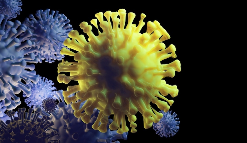 L'OMS dément l'apparition d’un nouveau variant du coronavirus appelé Hihi