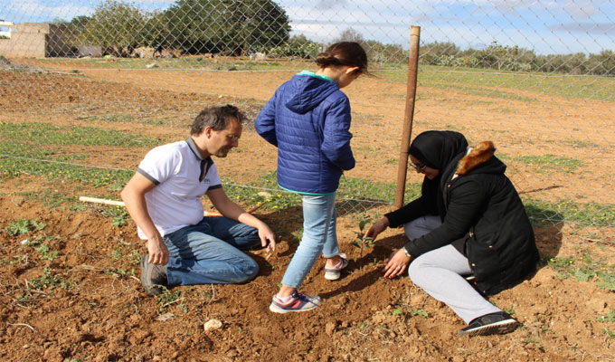 Advans Tunisie plante sa première forêt à Zaghouane