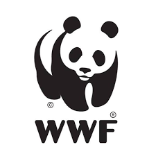 WWF-Tunisie : le naufrage du Xelo laisse craindre une catastrophe environnementale