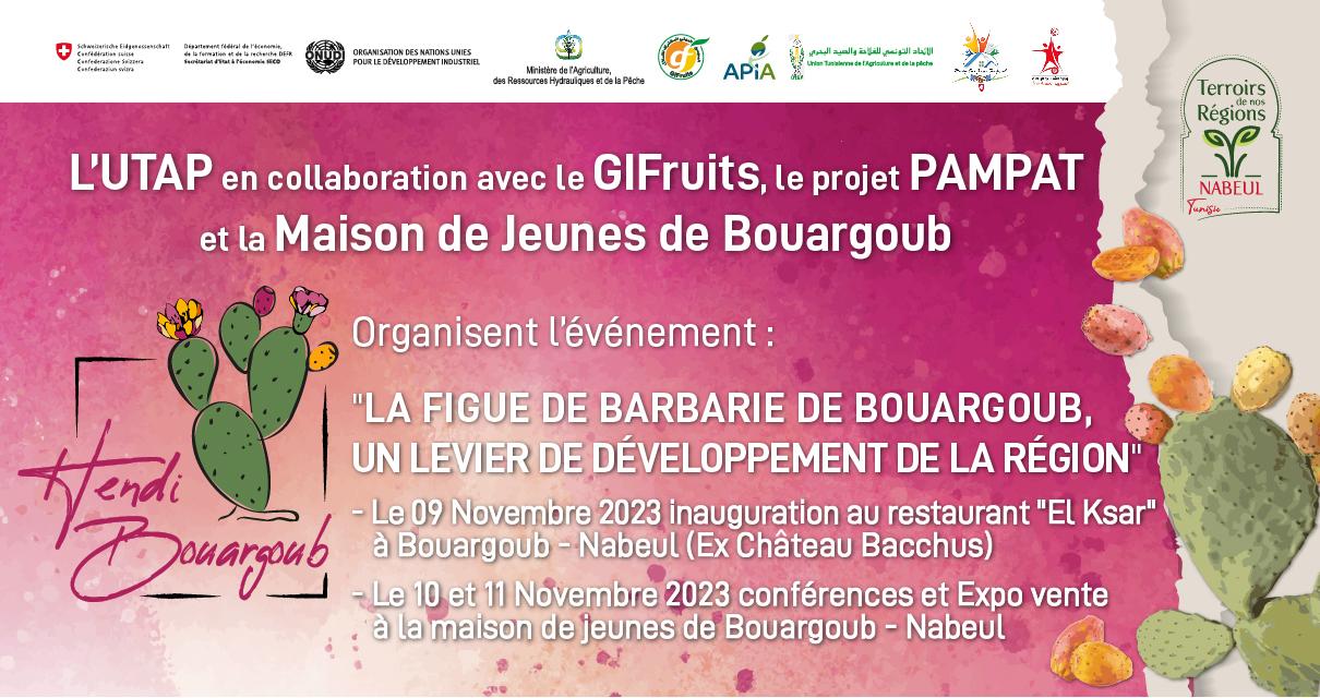Bouargoub s’habille aux couleurs de ses figues de Barbarie