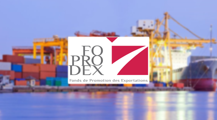Foprodex : Les subventions de produits artisanaux revues à la hausse