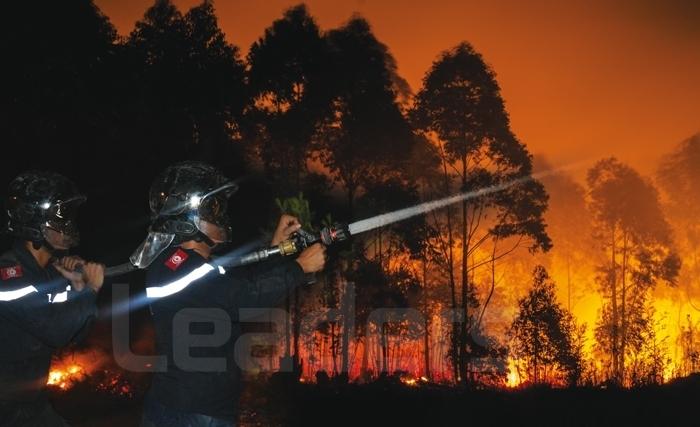 Direction générale des forêts : la plupart des incendies forestiers d’origine humaine