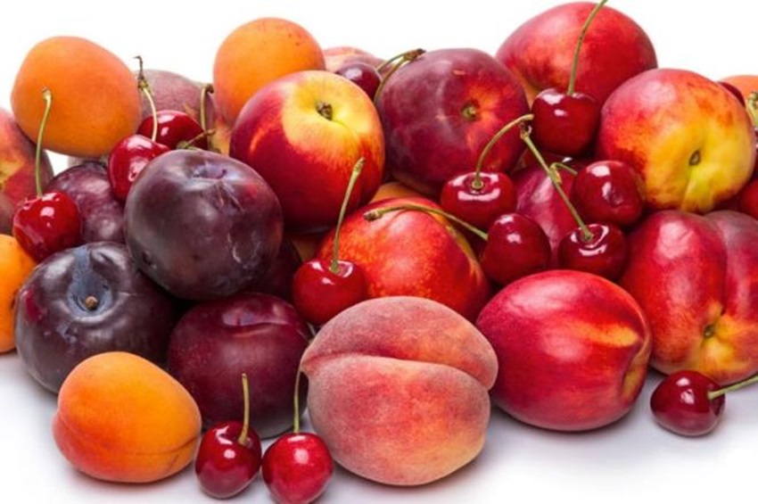 La récolte des fruits d’été à noyaux estimée à plus de 251 mille tonnes