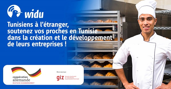 GIZ : Les TRE appelés à s’inscrire sur la plateforme WIDU avant le 28 février 2023