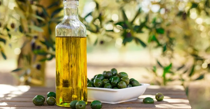 Huile d'olive : La valeur des exportations tunisiennes en hausse de 52,4% en 2023