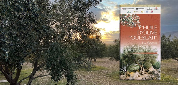 L'huile d'olive Oueslati, les spécificités et les avantages d'une huile typique