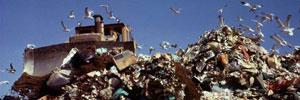 Tunisie: valorisation énergétique des déchets organiques