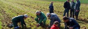 Les tunisiens résidents à l'étranger appelés à investir dans l'agriculture
