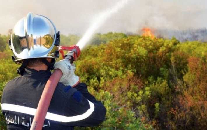 Protection civile : 42 incendies dans des zones boisées entre le 30 juillet et le 2 août