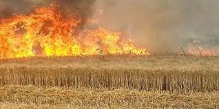 Protection civile: 132 incendies enregistrés dans les terres agricoles entre le 1er juin et le 1er juillet 2021