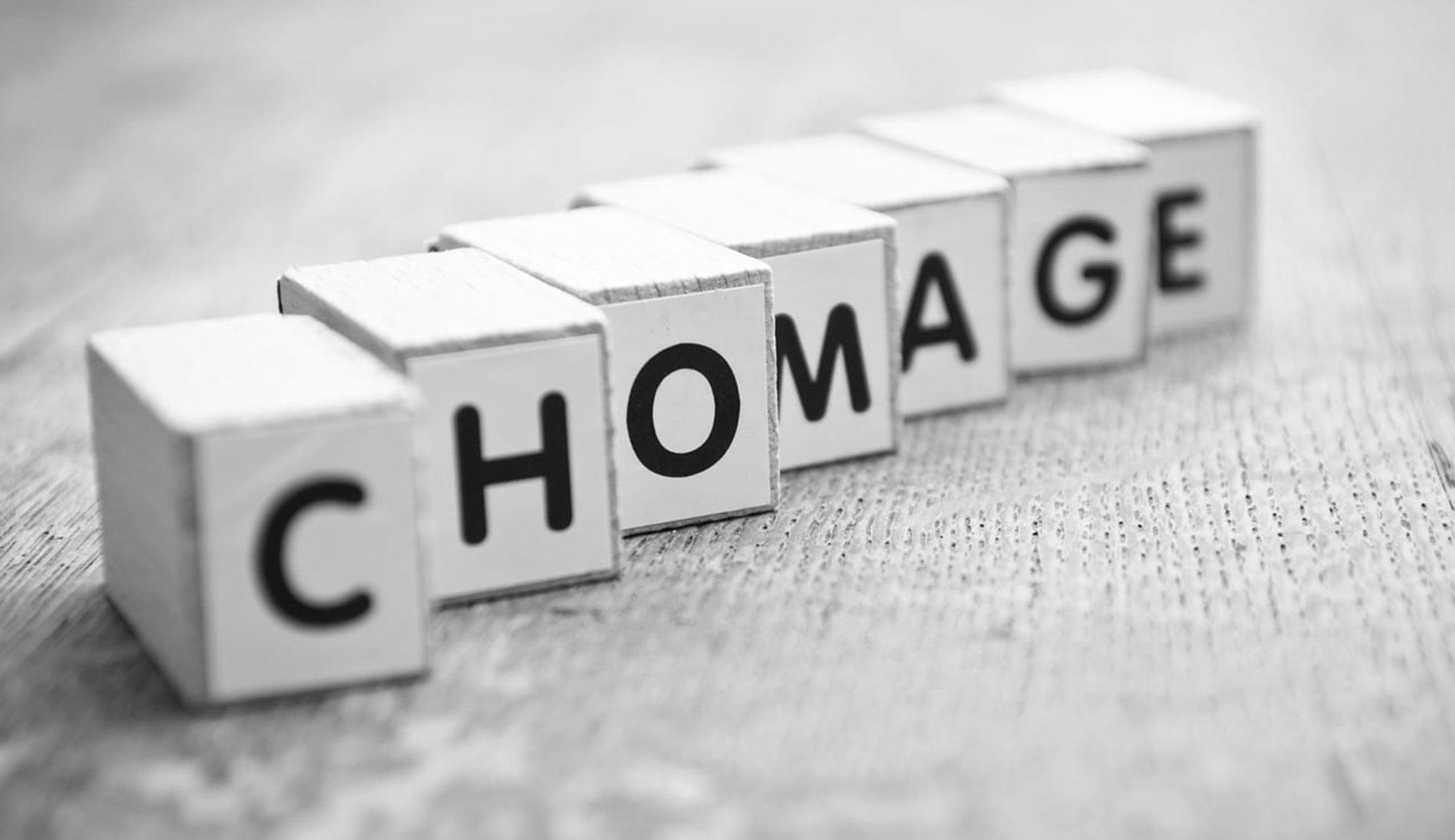 INS : Un taux de chômage de 15,3% au deuxième trimestre 2025