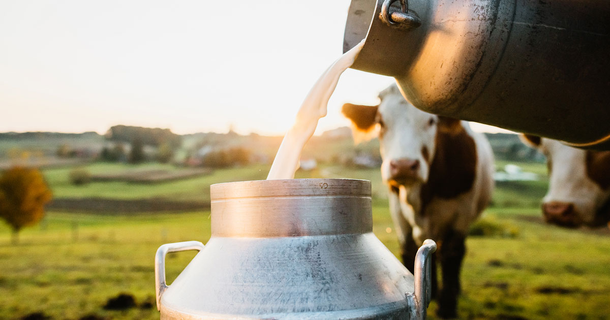 SYNAGRI : Appel à la révision des prix de vente du lait de l’agriculteur