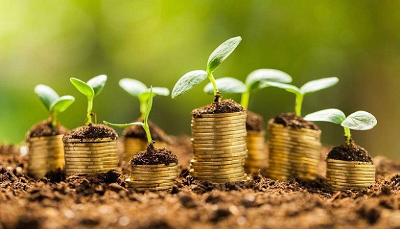 Lancement d'un concours national pour encourager les jeunes dans le domaine du climat et de l’économie verte