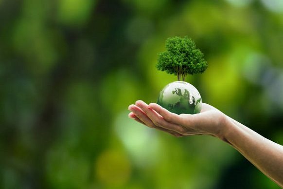 Lancement d'une compétition nationale pour « le meilleur établissement culturel eco-friendly »
