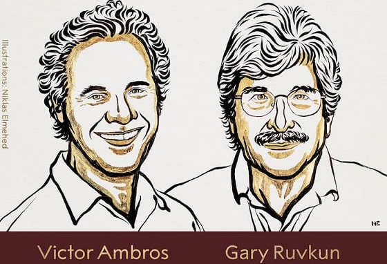 Le prix Nobel de médecine 2024 attribué aux Américains Victor Ambros et Gary Ruvkun