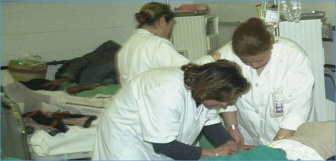 Santé: 51% des médecins en Tunisie sont des femmes