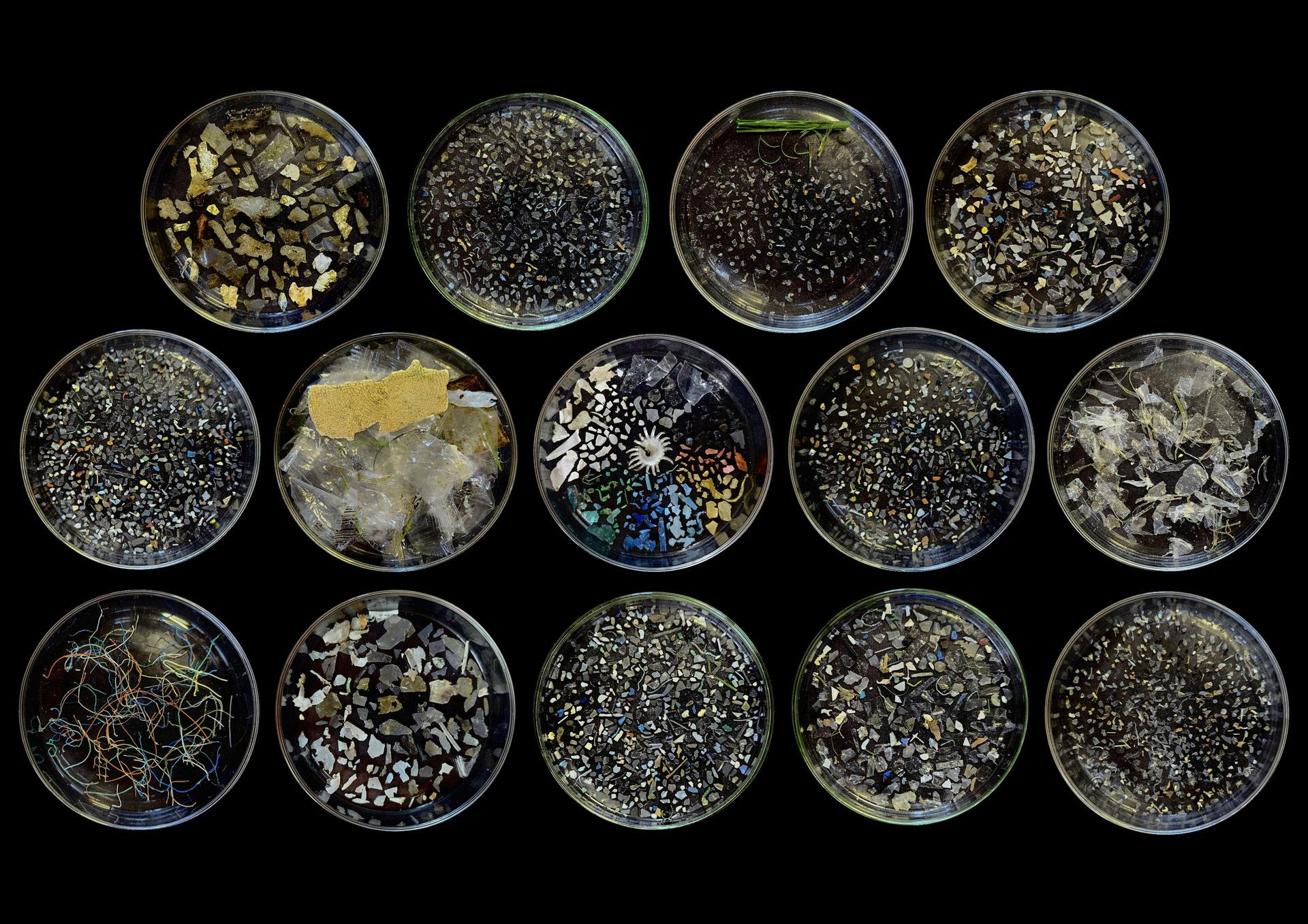 La Méditerranée face au fléau des microplastiques
