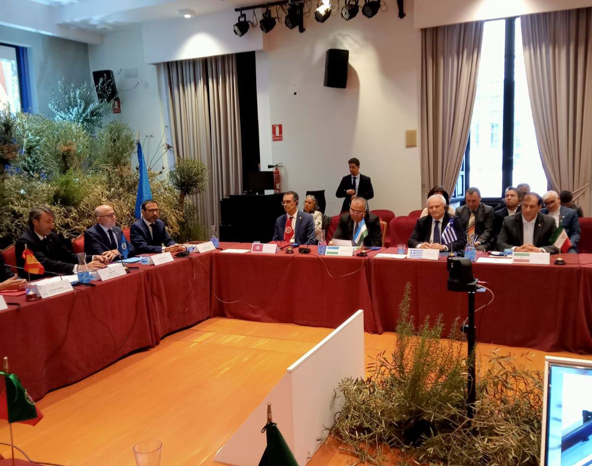 Huile : Les oliveraies en Tunisie représentent 20 % de la superficie mondiale dédiée à cette culture