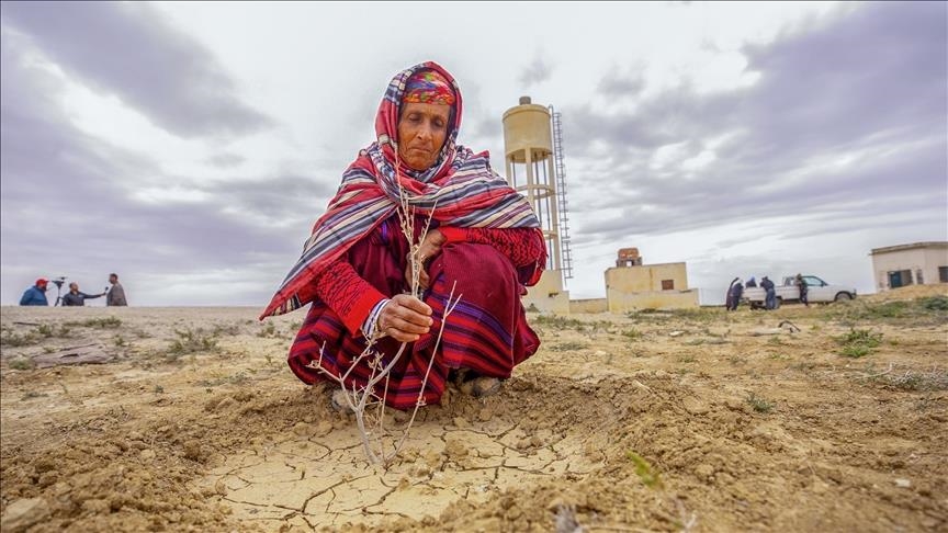 BM -Tunisie: 71% des pertes de PIB imputables au climat seront dues à des pénuries d'eau