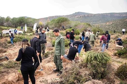 Nabeul : Perenco Tunisie finance et inaugure une opération de reboisement inédite de 40000 arbres