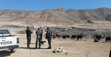 Récupération d'une ferme domaniale agricole d’une superficie de 430 hectares à Zriba