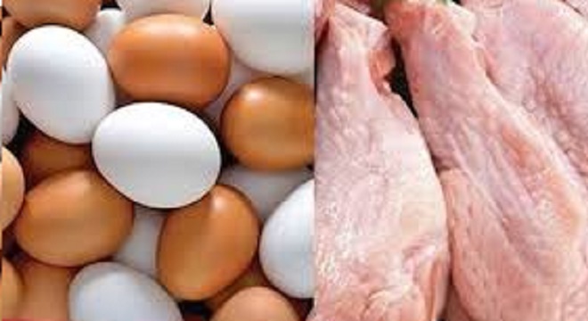 ONAGRI : Tendance haussière de la production de poulet de chair et des œufs de consommation