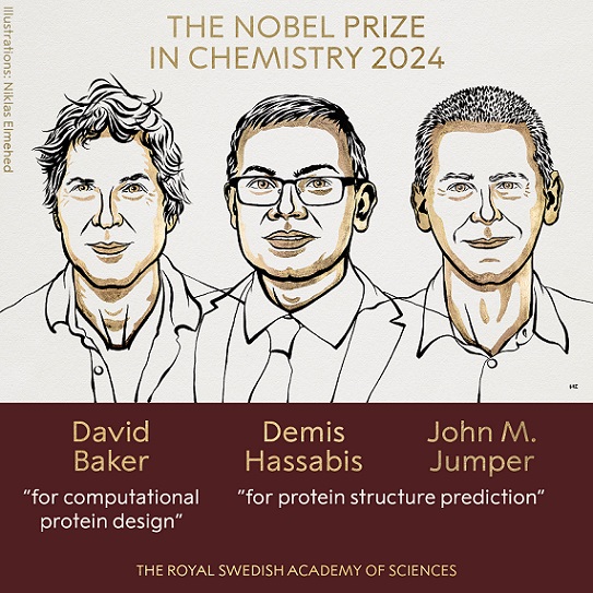Le prix Nobel de chimie 2024 décerné à David Baker, Demis Hassabis et John M. Jumper