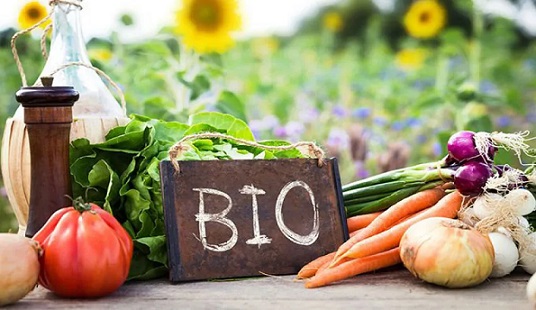 ONAGRI ; Les recettes des exportations des produits agricoles biologiques en hausse de 9,7%