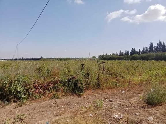 Siliana : Récupération d'un bien domanial agricole de 34 hectares