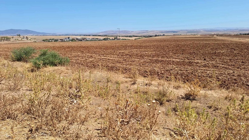 Bizerte: Récupération de 3 terrains domaniaux agricoles d'une superficie de 55 ha