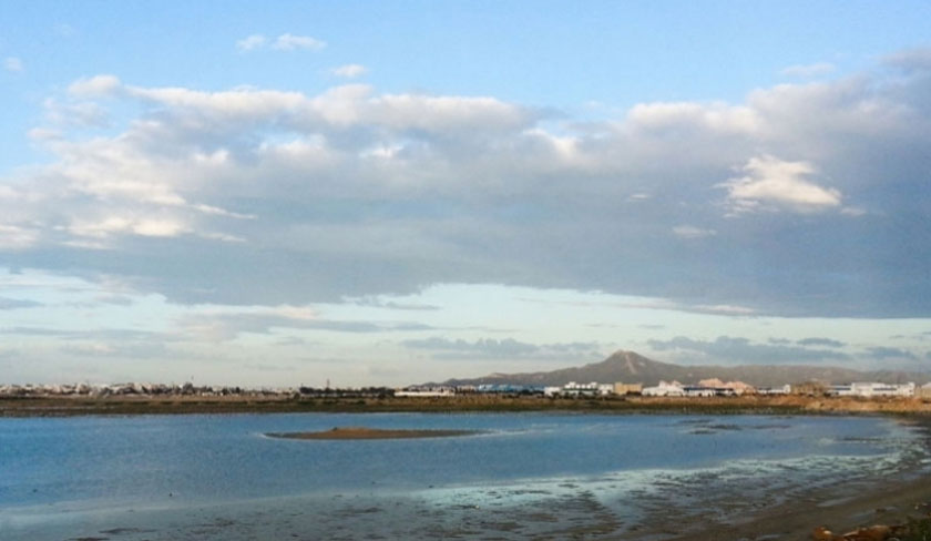 Lutte contre les insectes nuisibles: Opération de pulvérisation aérienne à la Sebkha de Sijoumi