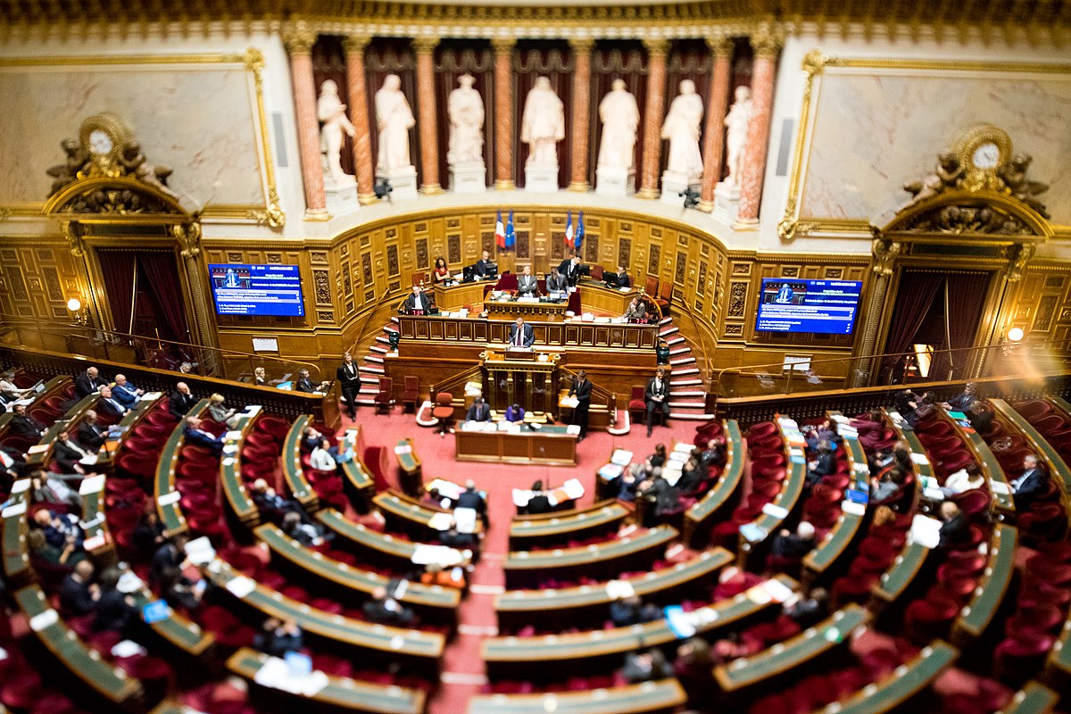 France-projet de loi: de la prison et une forte d'amende pour toute injure contre Israël!