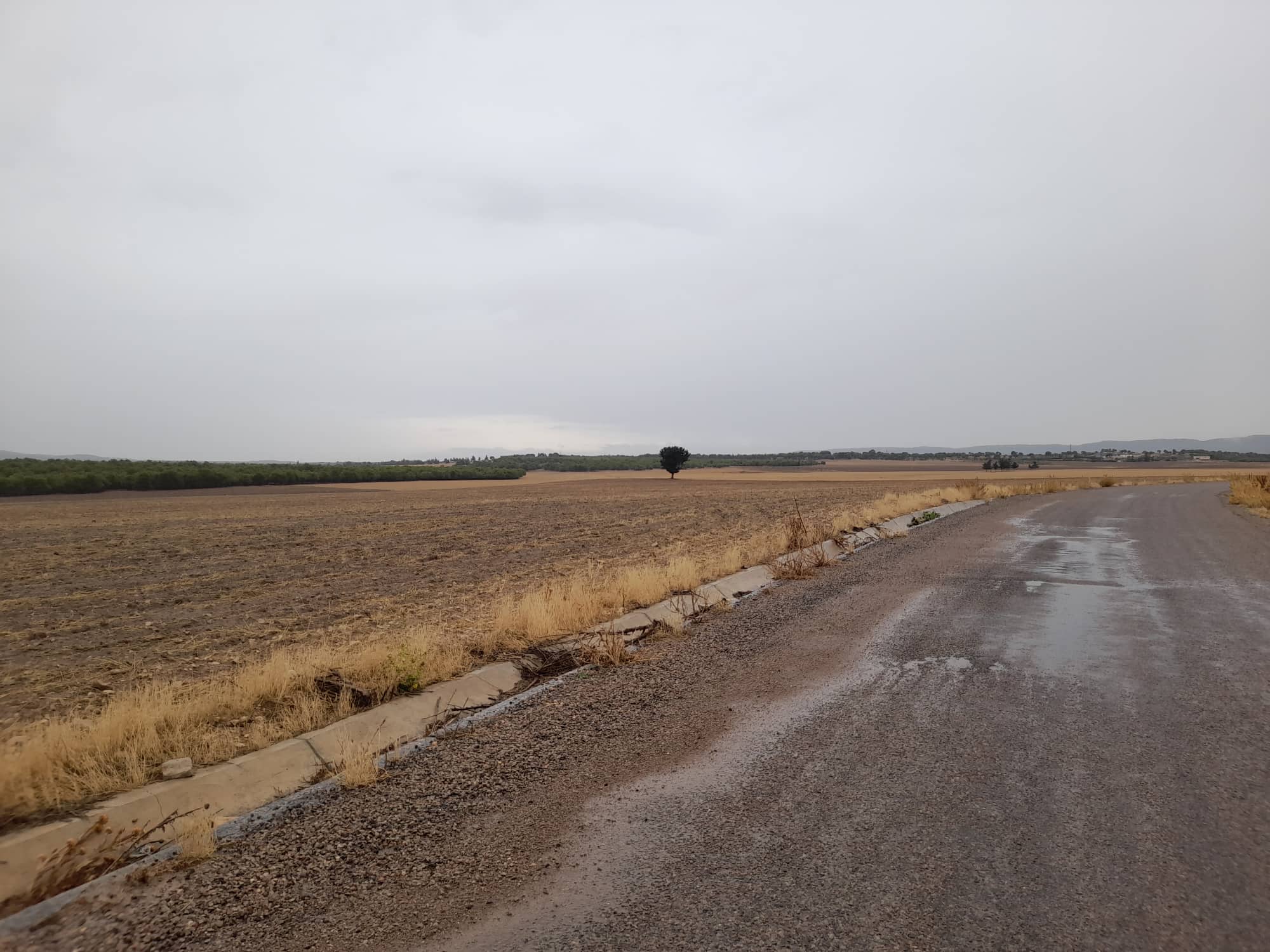 Récupération de 4 terrains domaniaux agricoles de 63 hectares à Siliana