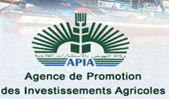  APIA : Appel à candidatures au profit des investisseurs à Kairouan, Sidi Bouzid et Kasserine