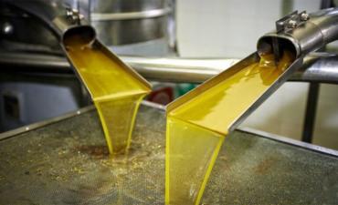 Tunisie: Un record de 130.900 tonnes d’huile d’olive exportées en trois mois