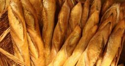 Le pain, produit alimentaire le plus gaspillé en Tunisie