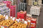Balance commerciale alimentaire : excédent de 1347 MD  sur 11 mois 
