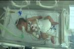 Gaza: