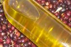  Exportation de l’huile d’olive : Les recettes en baisse de 35,8% (5 premiers mois de la campagne)
