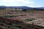 L’Etat récupère 22 hectares de ses terrains à Nabeul