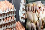 ONAGRI : Augmentation de la production de poulet de chair au cours des 8 premiers mois de 2023