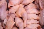 Ministère du Commerce : les prix du poulet plafonnés à parti du 9 mars