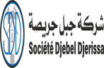 Industrie : nomination de Khaled Othman au poste de PDG de la société Djebel Djerissa