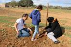 Advans Tunisie plante sa première forêt à Zaghouane 