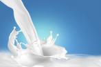 Le stock de régulation du lait frais stérilisé fixé à 19,9 millions de litres pour 2024
