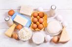 Ramadan : Approvisionnement régulier en œufs et produits laitiers