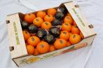 Oranges maltaises : Démarrage de la saison d’exportation vers la France